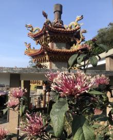 寿山岩观音寺1