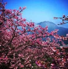 平菁街42巷18