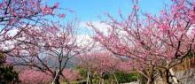 平菁街42巷30