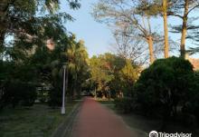 八德公园1