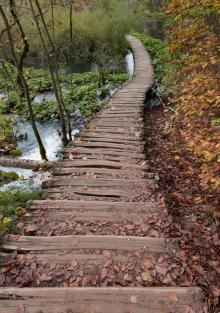 He Mei Trail1