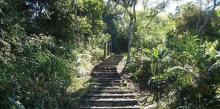 He Mei Trail2