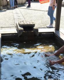 清水地热公园2
