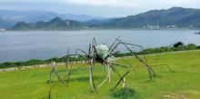 无耳茶壶山5