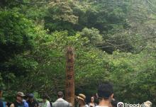 Linmei Shipan Trail3