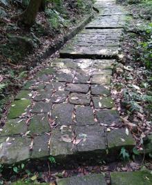 鱼路古道1