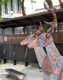 中正公园3