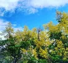 鸢山风景区19
