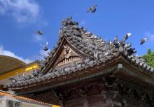 鸢山风景区12