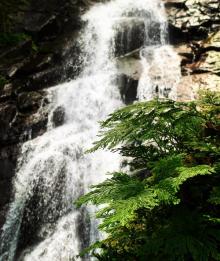 青山瀑布连接尖山湖纪念碑步道1