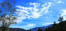 太平山森林游乐区6