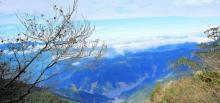 太平山森林游乐区5