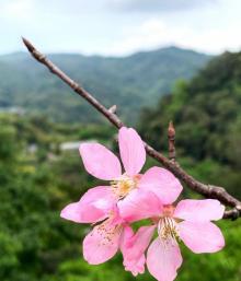 内湖 碧山岩25