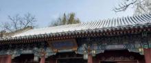 芝山公园4
