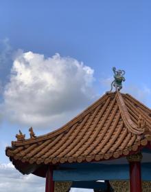 中正公园7