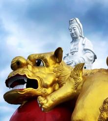 中正公园15