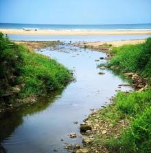 福隆海水浴场15