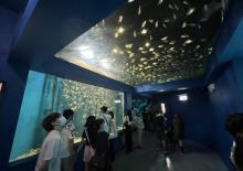 Xpark 水族馆6