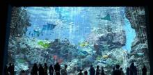 Xpark 水族馆1