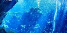 Xpark 水族馆4
