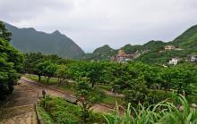 新北市立黄金博物馆13