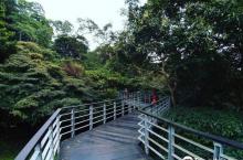 Guan Yin Shan Trail2