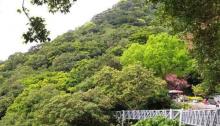 Guan Yin Shan Trail1