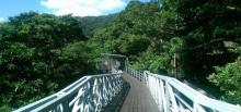 Guan Yin Shan Trail3