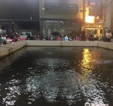 车轮钓虾场2