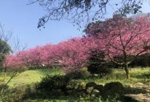 淡水无极天元宫4