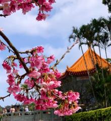 淡水无极天元宫29