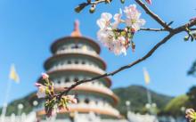 淡水无极天元宫2