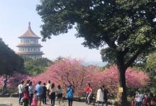 淡水无极天元宫6