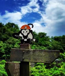 Houtong Cat Village27