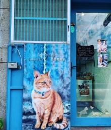 Houtong Cat Village15