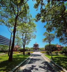 二二八纪念和平公园11