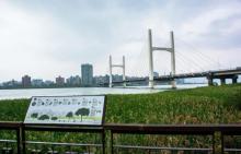 淡水河3