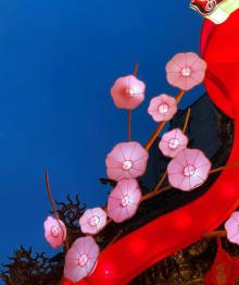 艋{龙山寺4