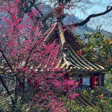 阳明山国家公园5