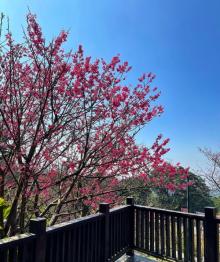 阳明山国家公园8