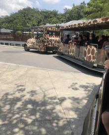 台北市立动物园21