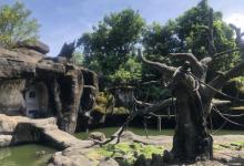 台北市立动物园30