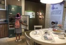 台北市立动物园20