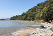 Sun Moon Lake Dajhu Lake Trail3