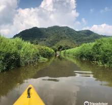 TouShe Basin2