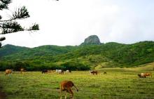 大尖山(大尖石山)6