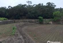 Jin Tian Farm2