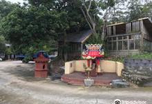 Jin Tian Farm1