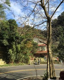 Baguali Recreation Farm1