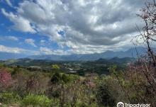 Jinlong Mountain1